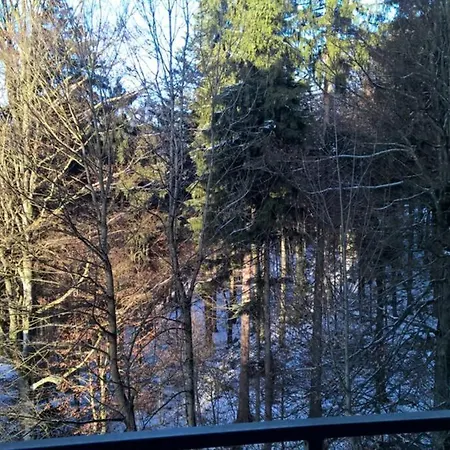 Urlaub Auf Geyersberg - 800m Oberhalb Luftkurortes Daire *